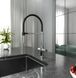 Змішувач для кухні Koller Pool Kitchen Professional S-DUO 1145431105