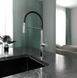 Смеситель для кухни Koller Pool Neon Special 1115310305